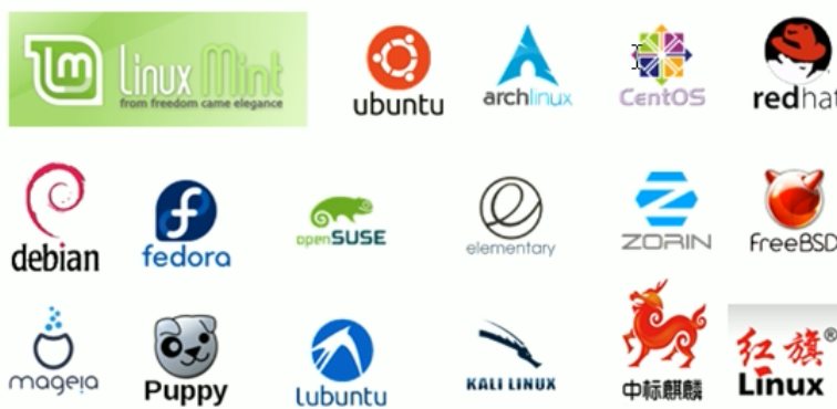 image-20210811201646925